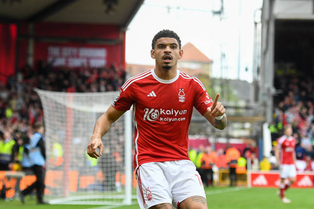 總的來看 總的來看