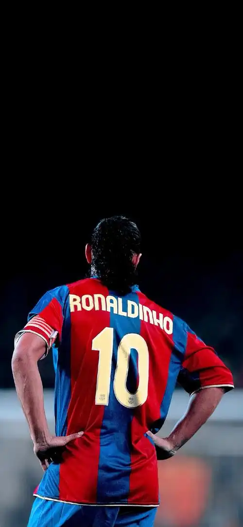 的合成纤维 的合成纤维