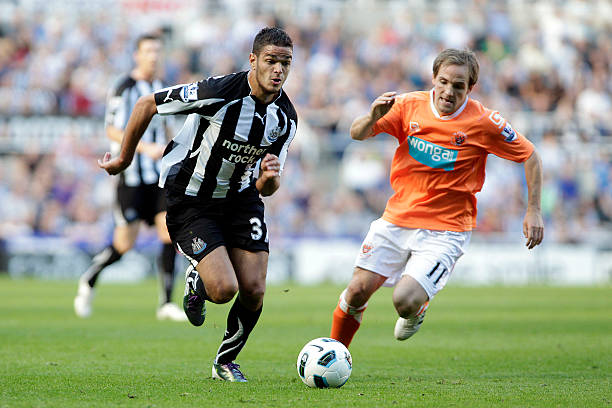 的生死淘汰 的生死淘汰